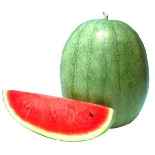 Saraswati Watermelon From  Known You Seed (India)-KYI